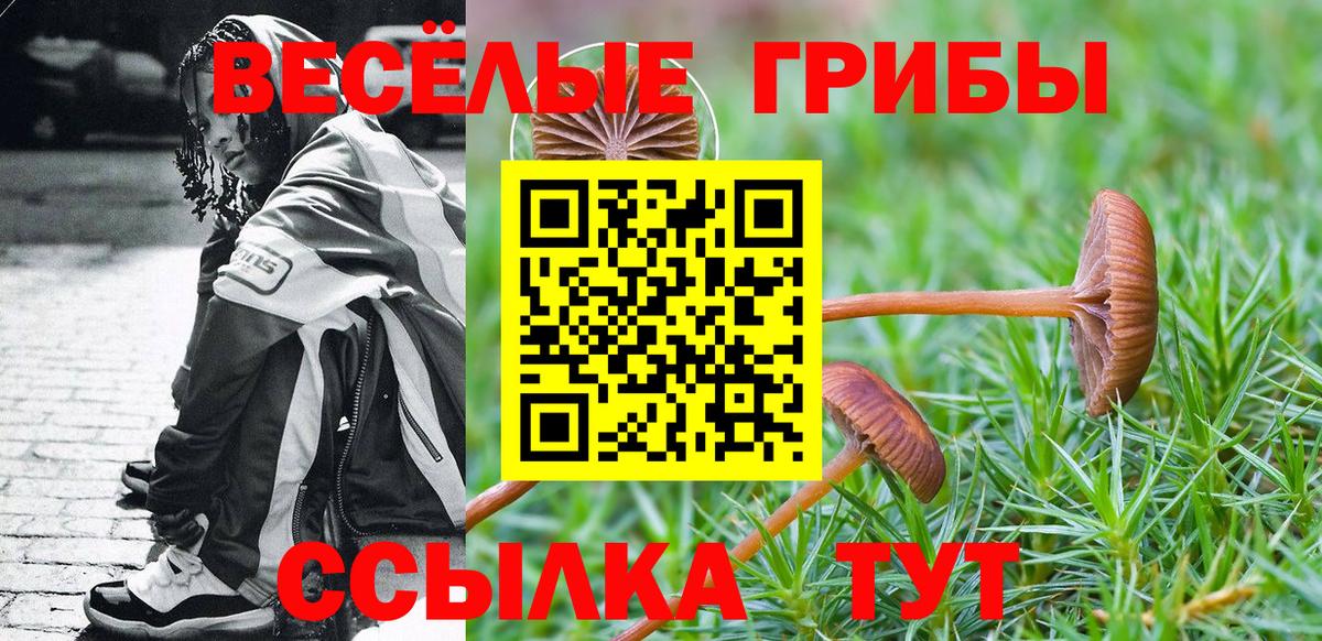 Псилоцибиновые грибы мицелий  закладка  Златоуст  Вход с VPN 